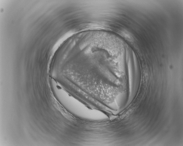 X0000055071427200508232317.png