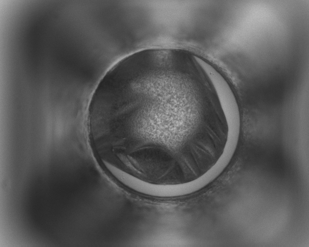 X0000045461479200502081405.png