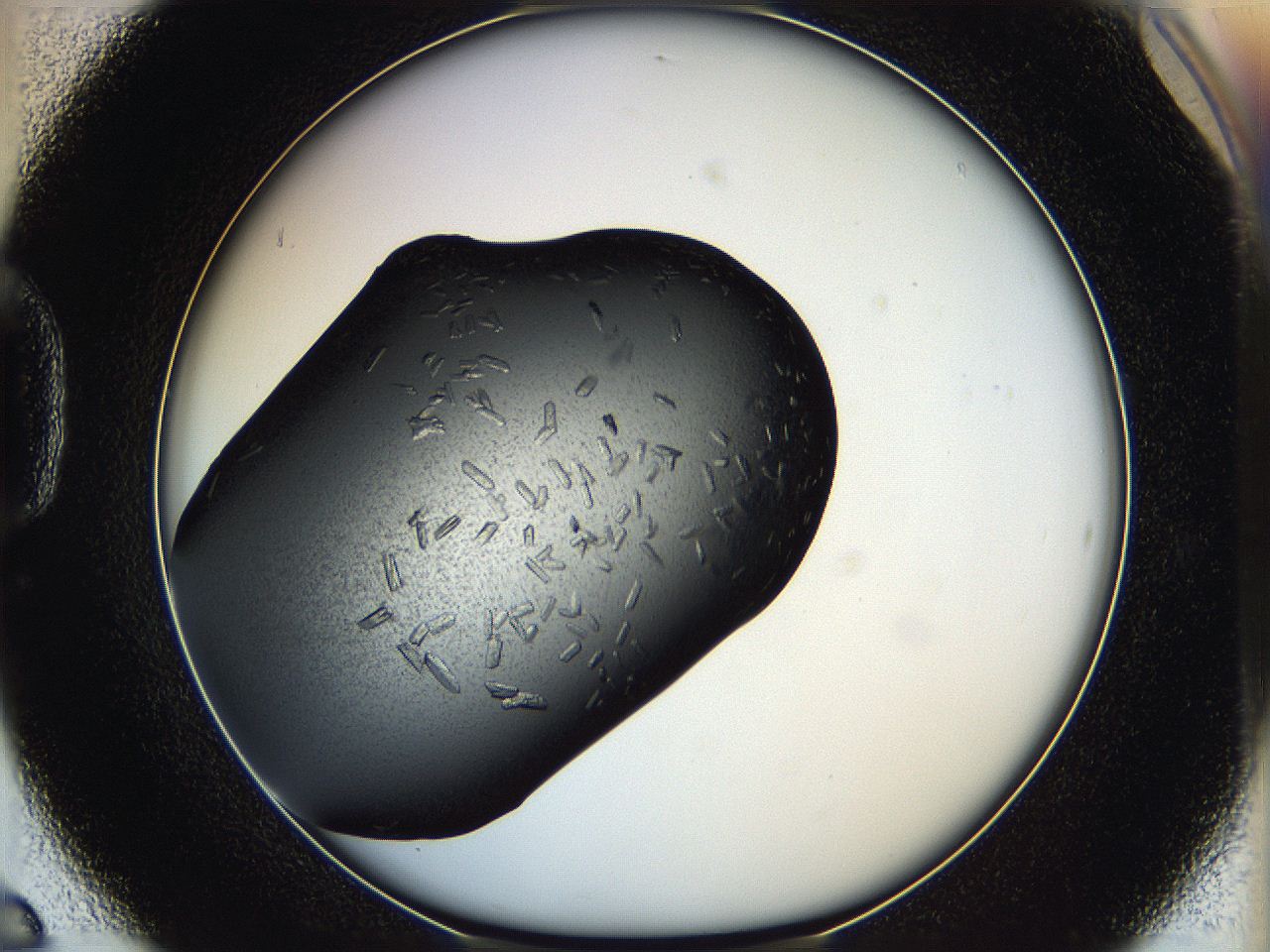 05hf_D6_ImagerDefaults_7.jpg