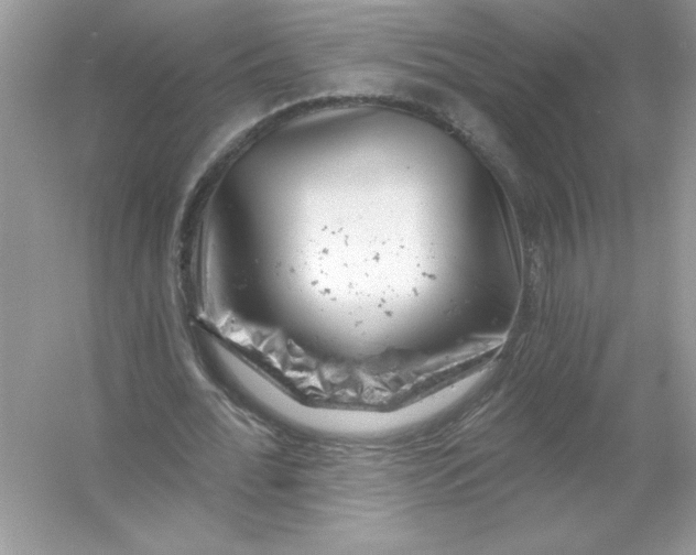 X0000054300676200508042311.png