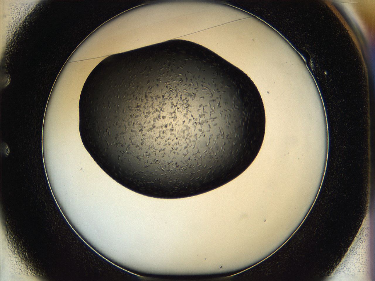 05hf_E1_ImagerDefaults_6.jpg