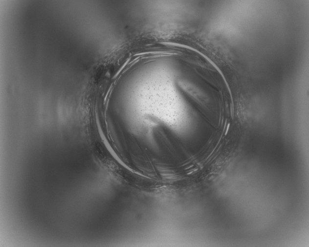 X0000048230551200504061213.png