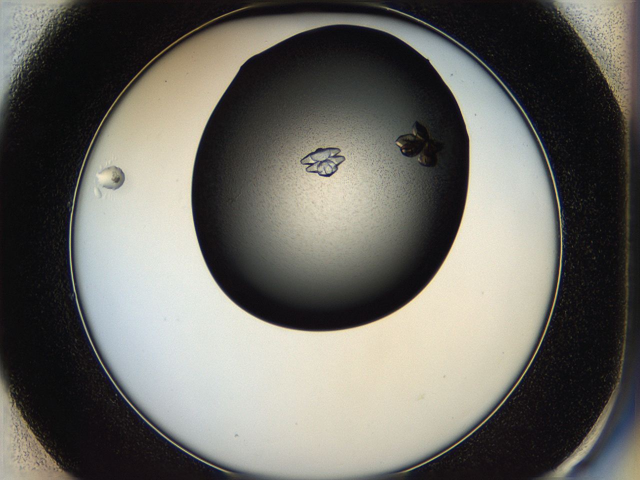 05hf_E1_ImagerDefaults_7.jpg