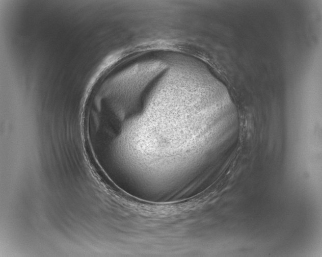 X0000055060006200508161658.png