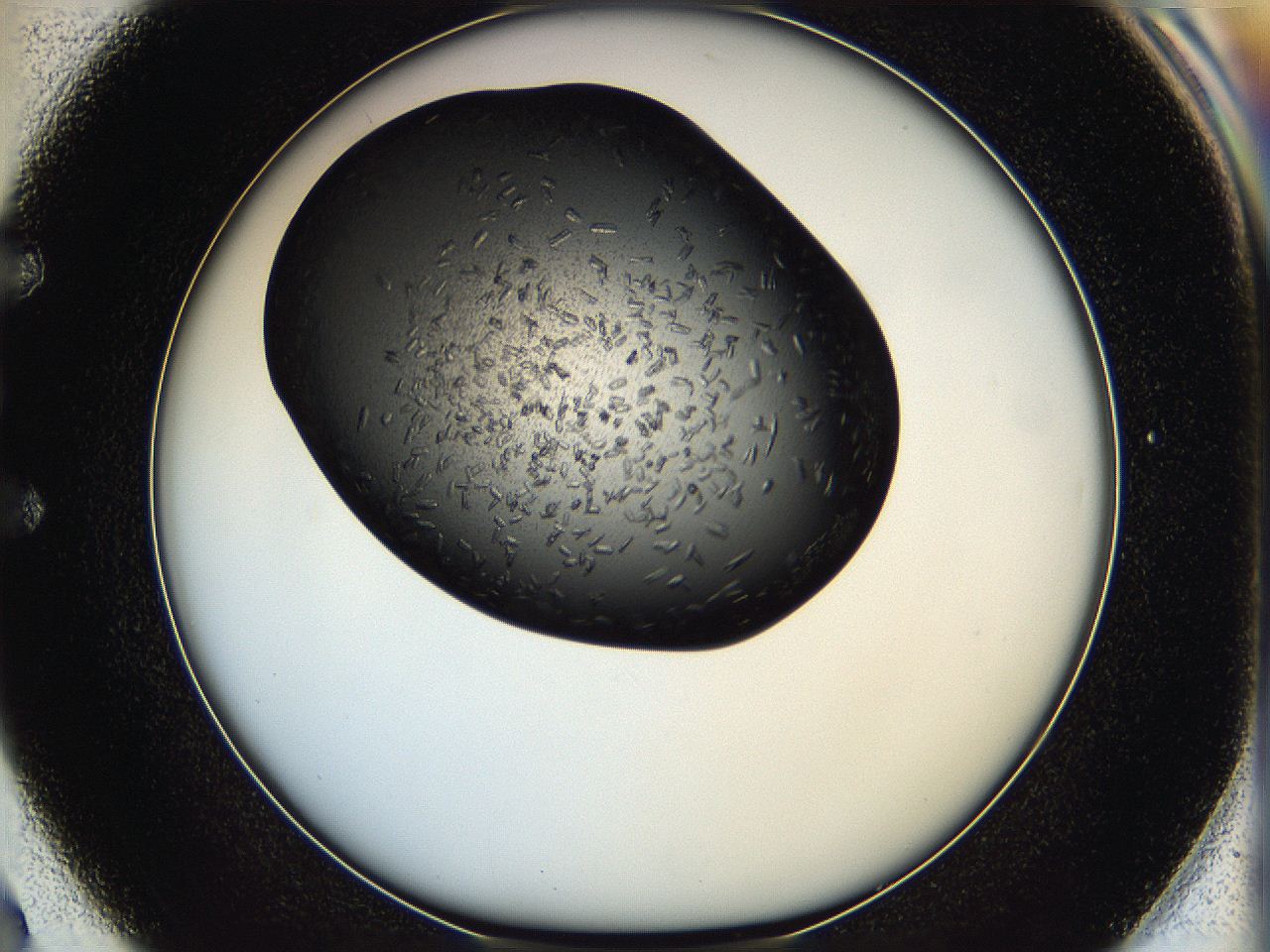 05hf_E2_ImagerDefaults_6.jpg