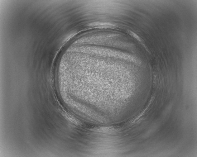 X0000054301074200508042304.png