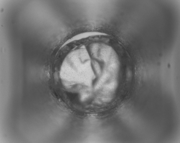 X0000052120127200507262101.png
