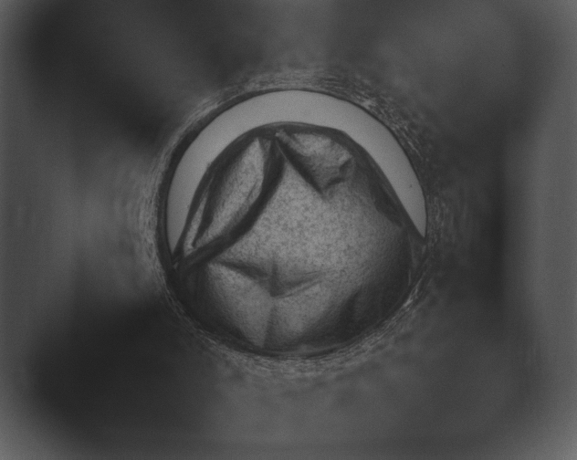 X0000044230006200501101650.png