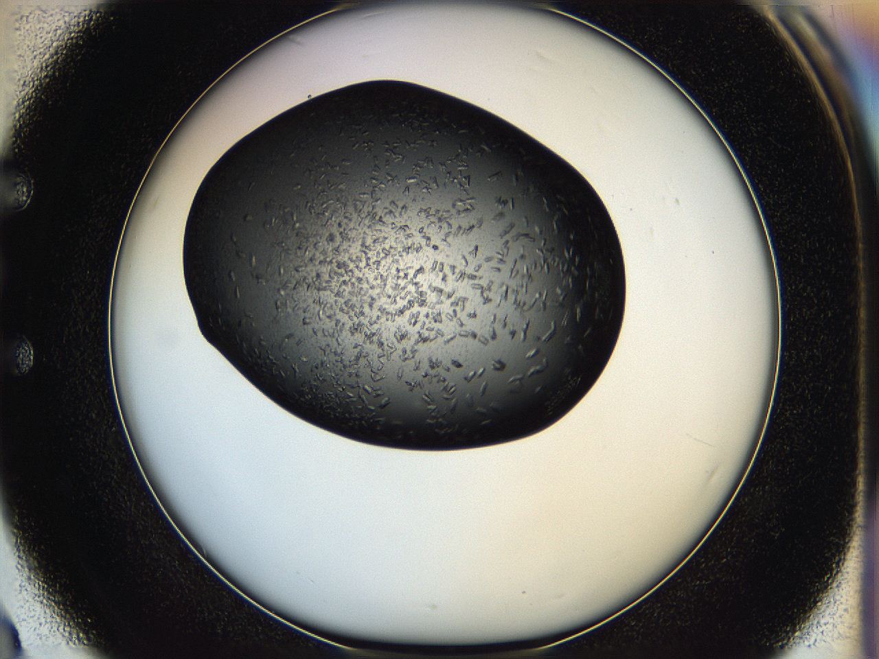 05hf_E3_ImagerDefaults_6.jpg