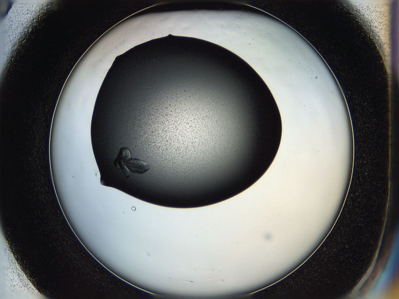 05hf_E3_ImagerDefaults_8.jpg