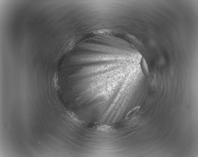 X0000054300669200508042311.png