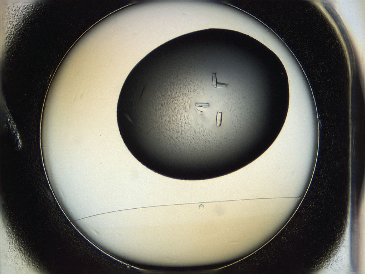 05hf_A1_ImagerDefaults_9.jpg
