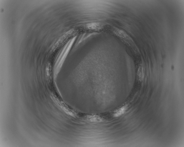 X0000054170424200508101804.png