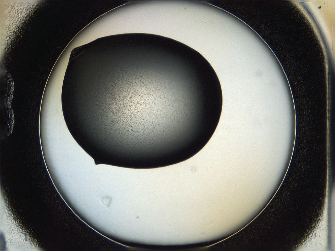 05hf_B4_ImagerDefaults_7.jpg