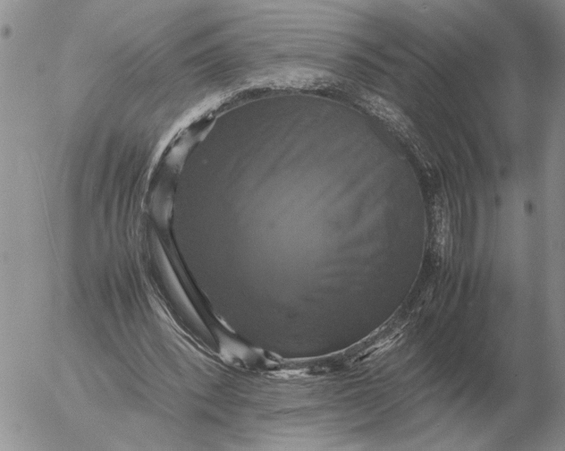 X0000054170392200508101805.png