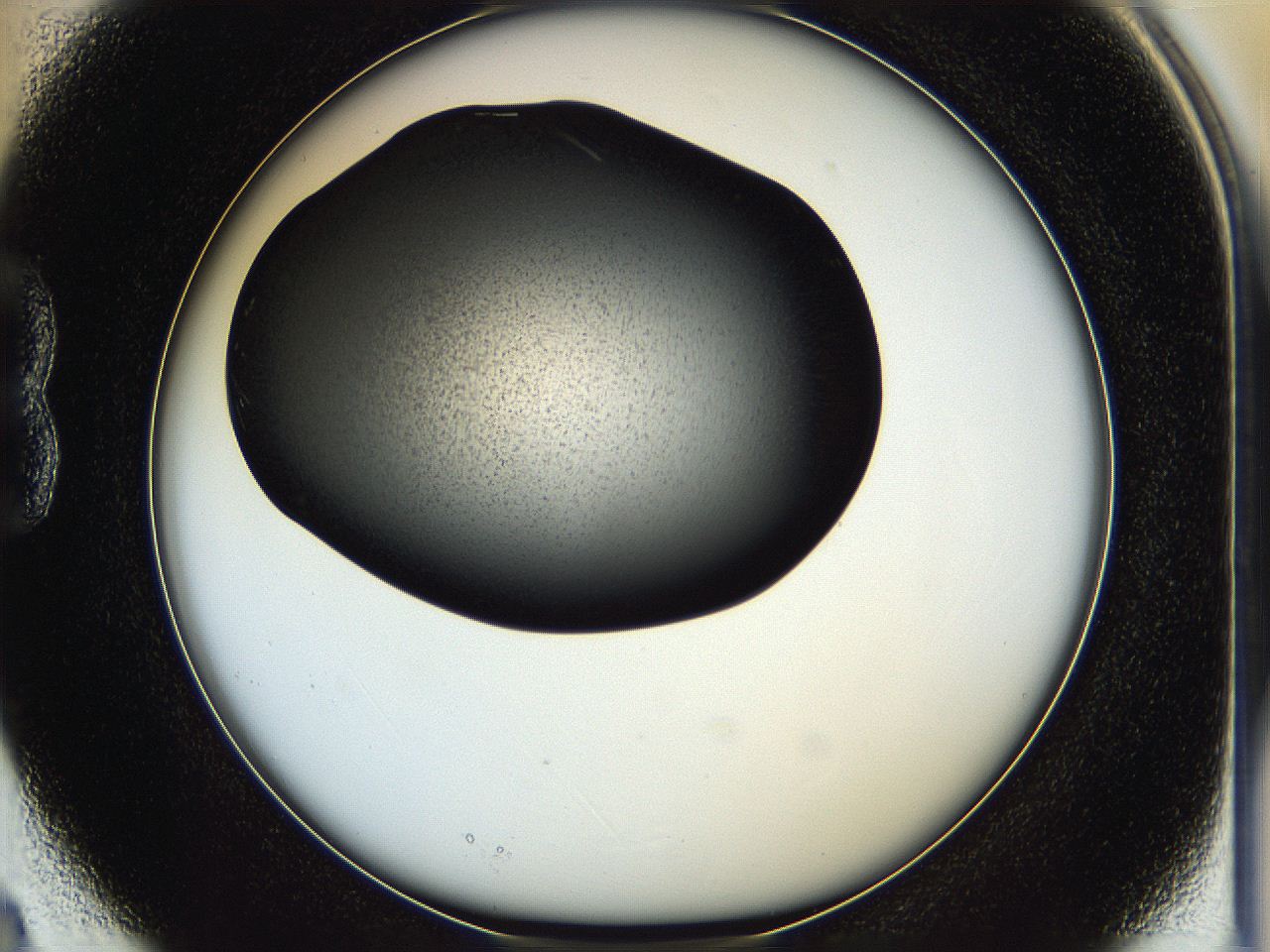05hf_B3_ImagerDefaults_8.jpg