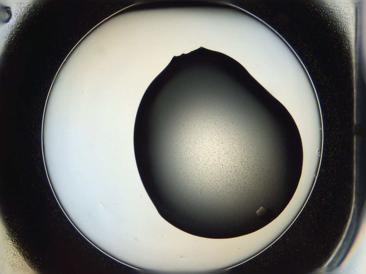 05hf_B2_ImagerDefaults_8.jpg