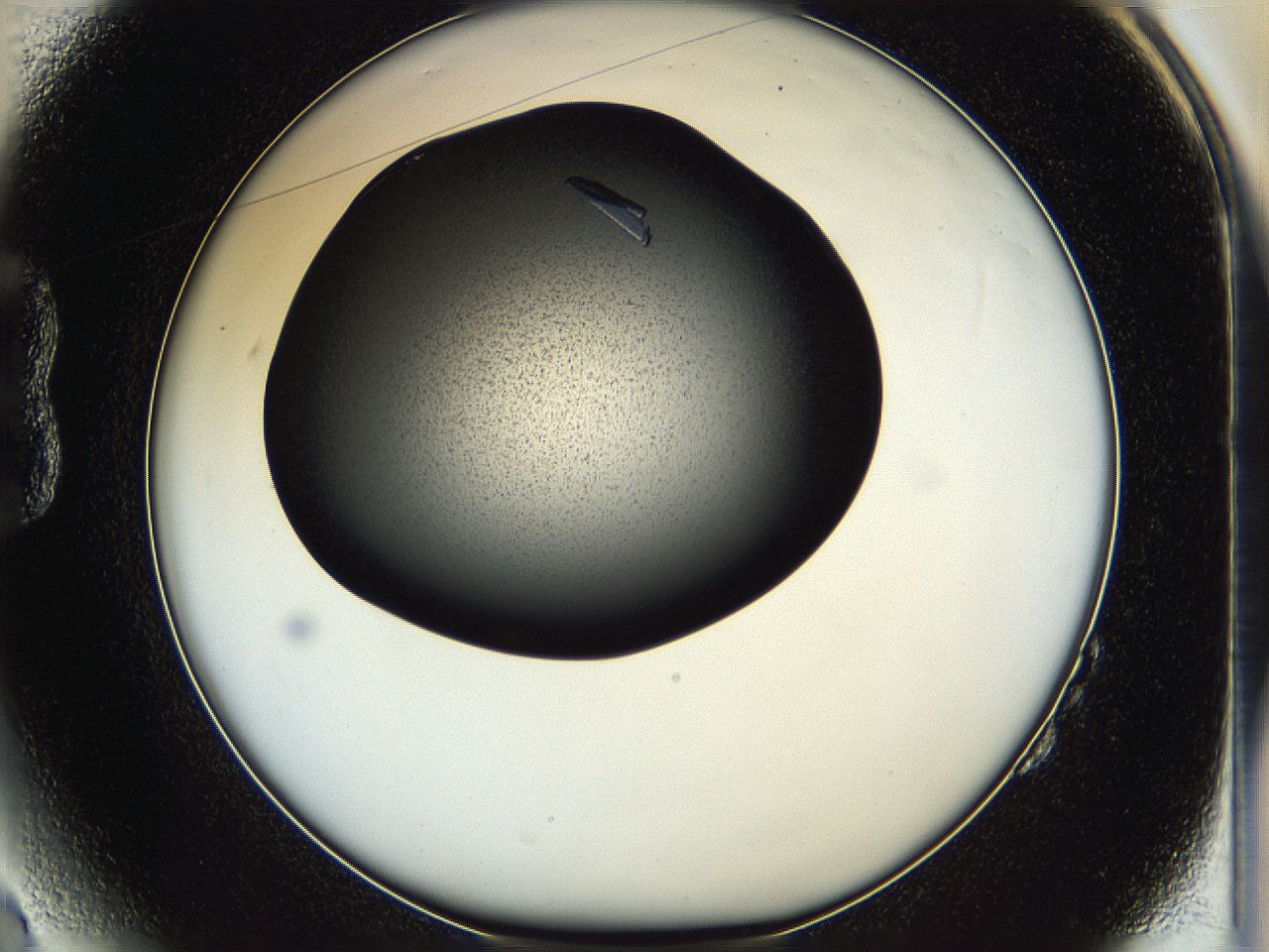 05hf_B2_ImagerDefaults_9.jpg