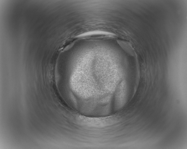X0000054300030200508042322.png