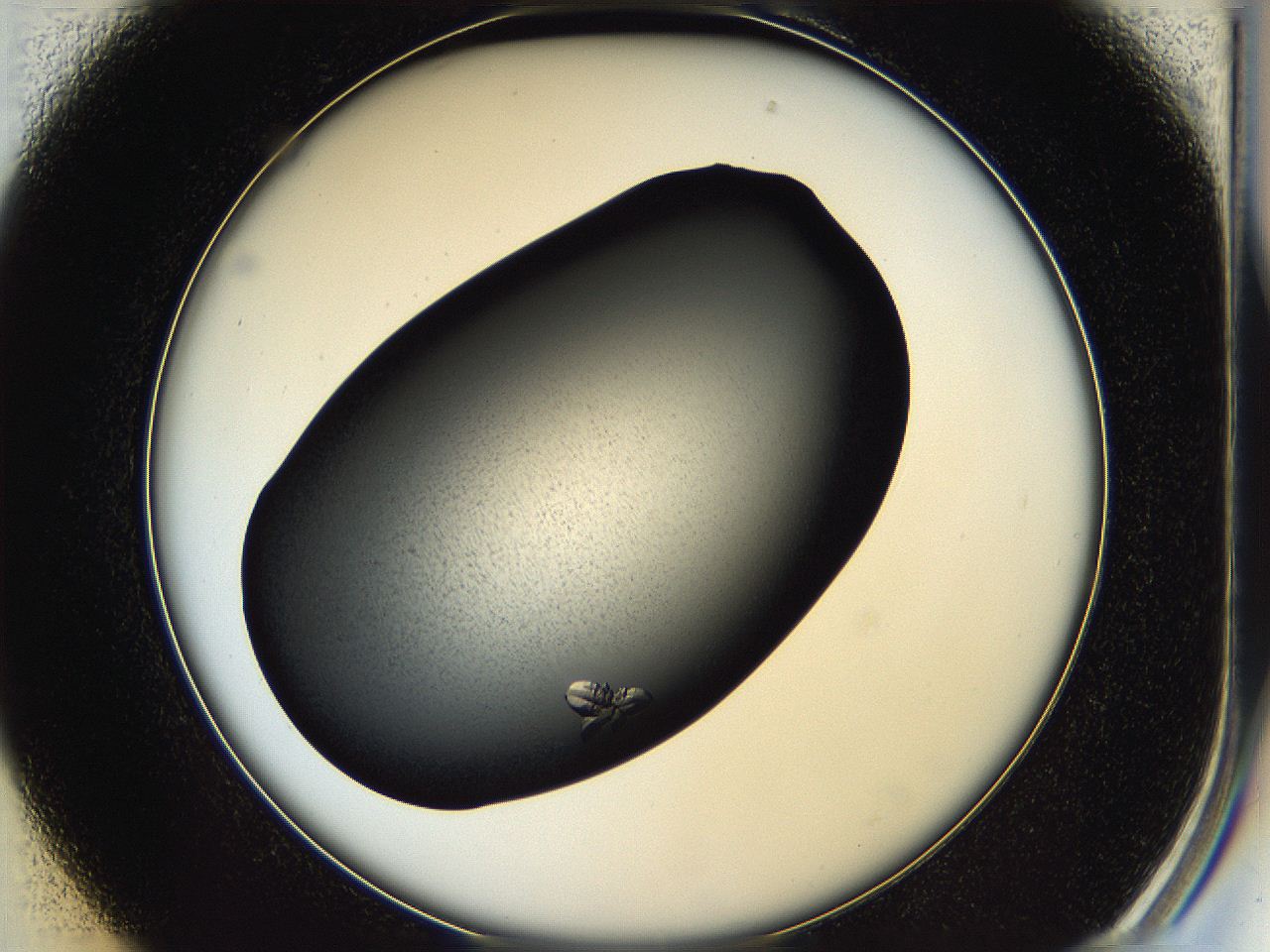 05hf_B1_ImagerDefaults_7.jpg