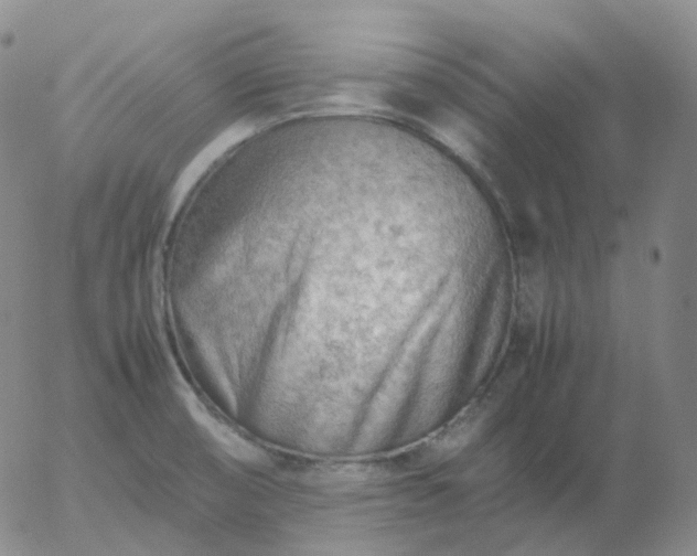 X0000054651474200508091629.png
