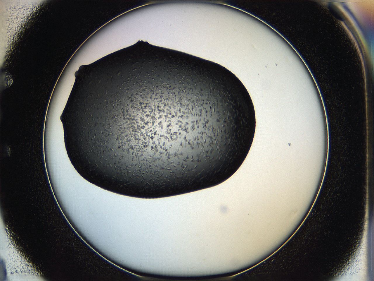 05hf_E4_ImagerDefaults_6.jpg