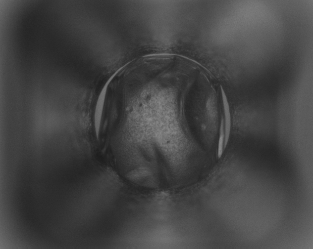 X0000044230131200501101648.png