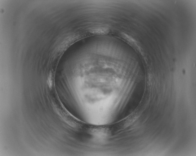 X0000054650069200508091652.png