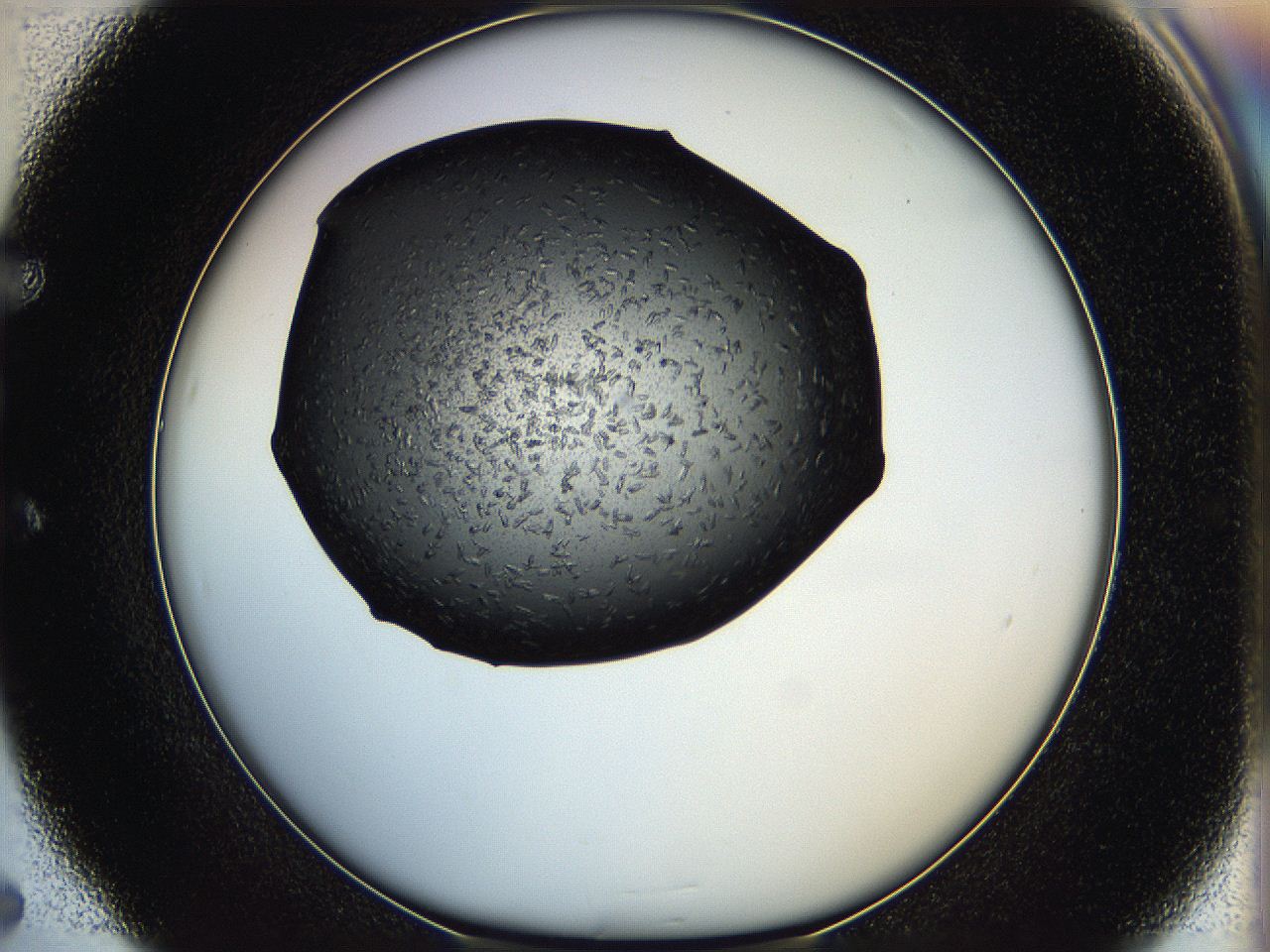 05hf_E5_ImagerDefaults_6.jpg
