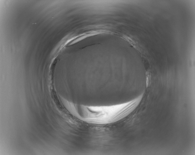 X0000054350339200508190134.png