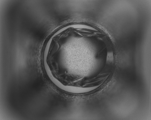 X0000045460786200502081417.png