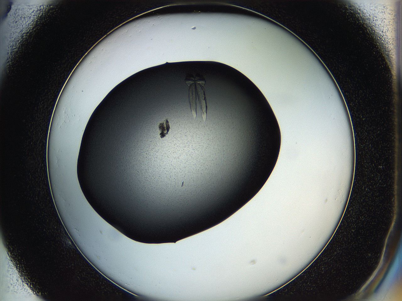 05hf_E5_ImagerDefaults_8.jpg