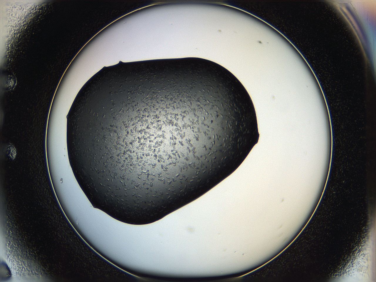 05hf_E6_ImagerDefaults_6.jpg
