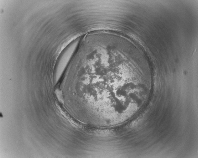 X0000055071121200508232322.png
