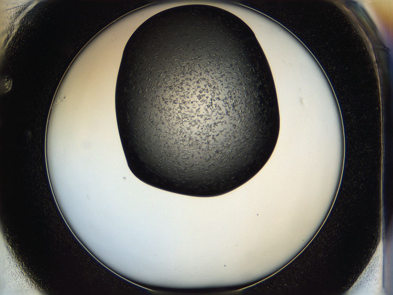05hf_F1_ImagerDefaults_6.jpg