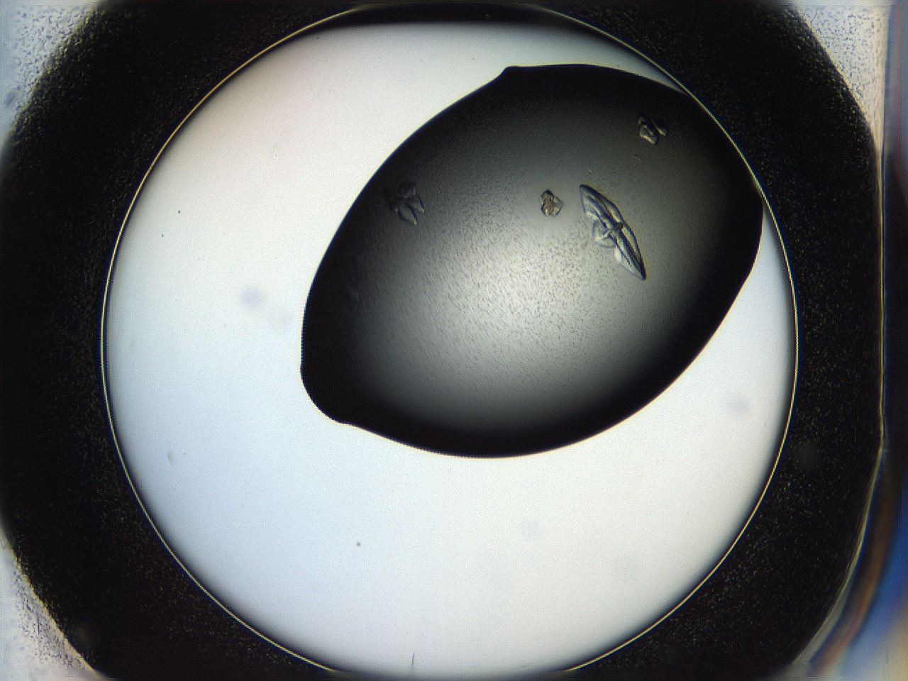 05hf_F1_ImagerDefaults_8.jpg