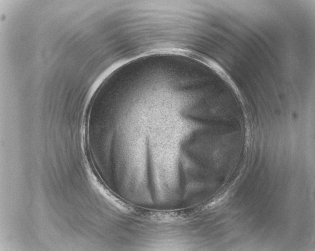 X0000055070955200508232325.png