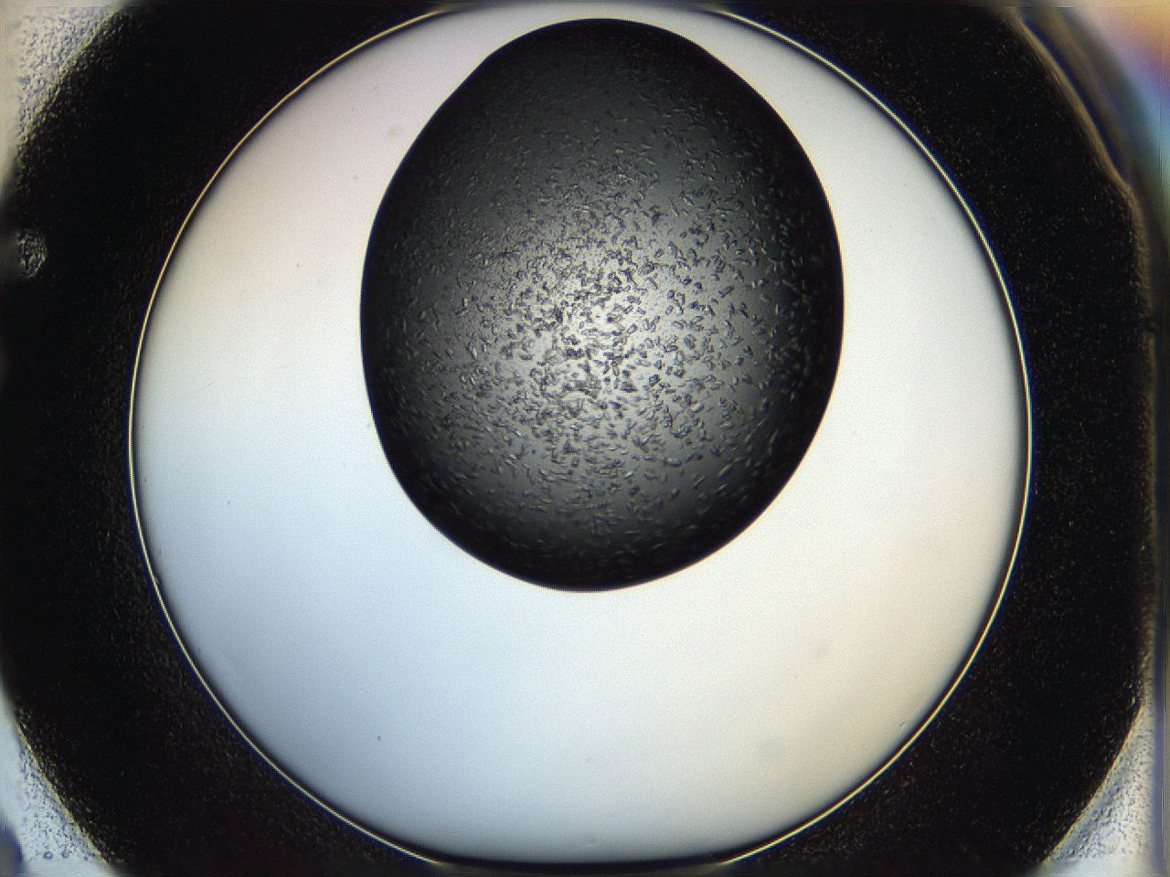 05hf_F2_ImagerDefaults_6.jpg