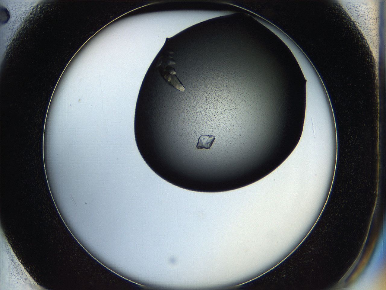 05hf_F2_ImagerDefaults_8.jpg