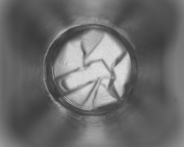 X0000054971439200509051452.png