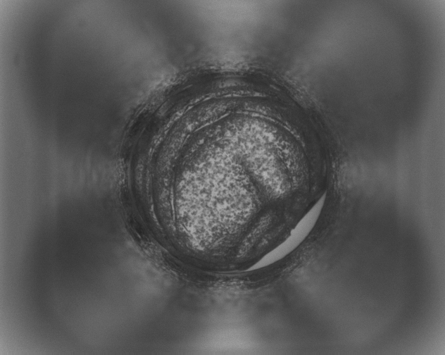 X0000038850643200410131829.png