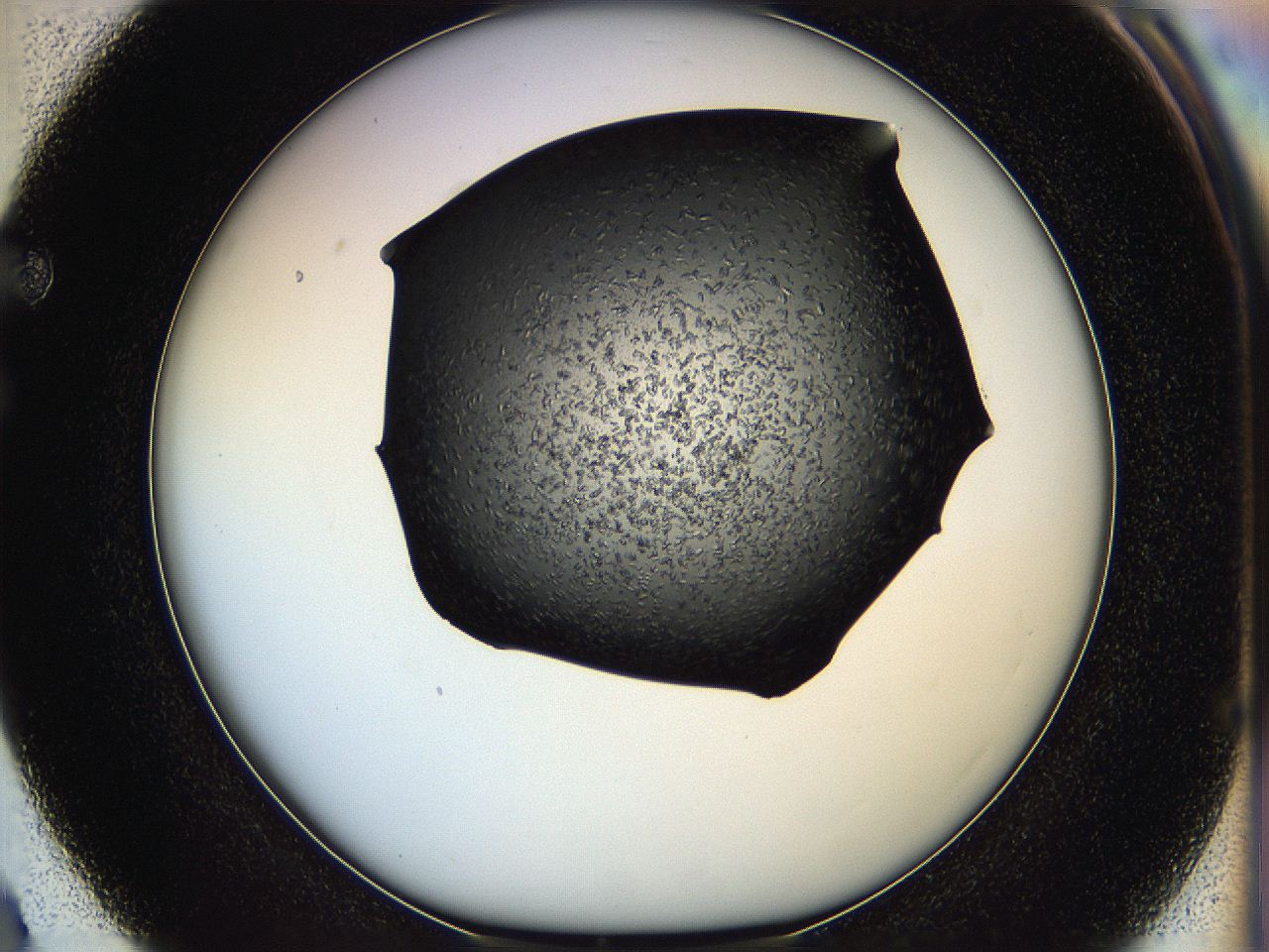 05hf_F3_ImagerDefaults_6.jpg