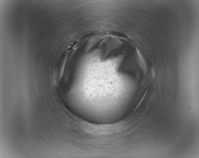 X0000054300038200508042321.png