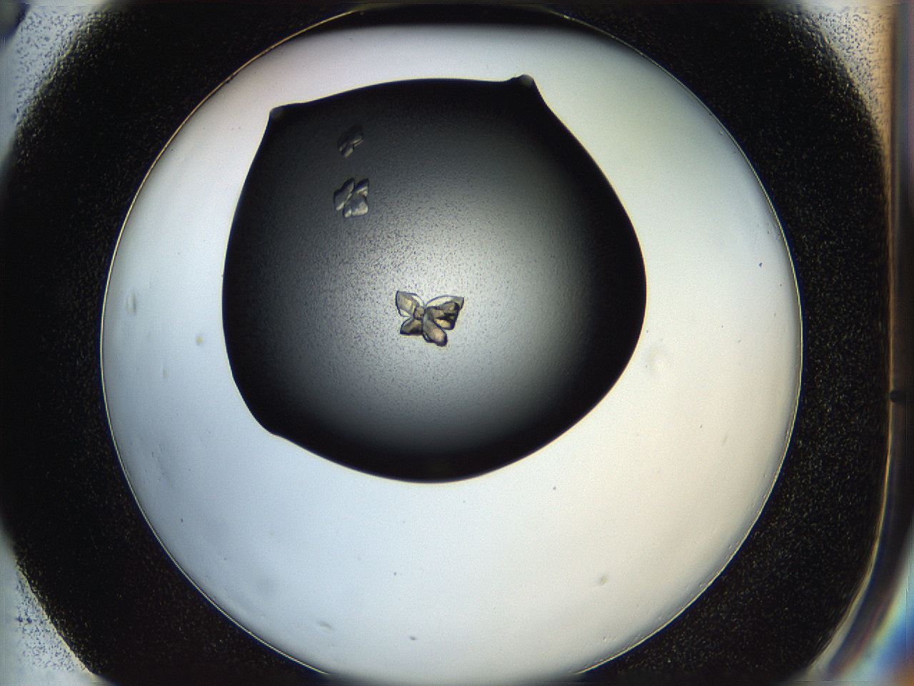 05hf_F3_ImagerDefaults_8.jpg