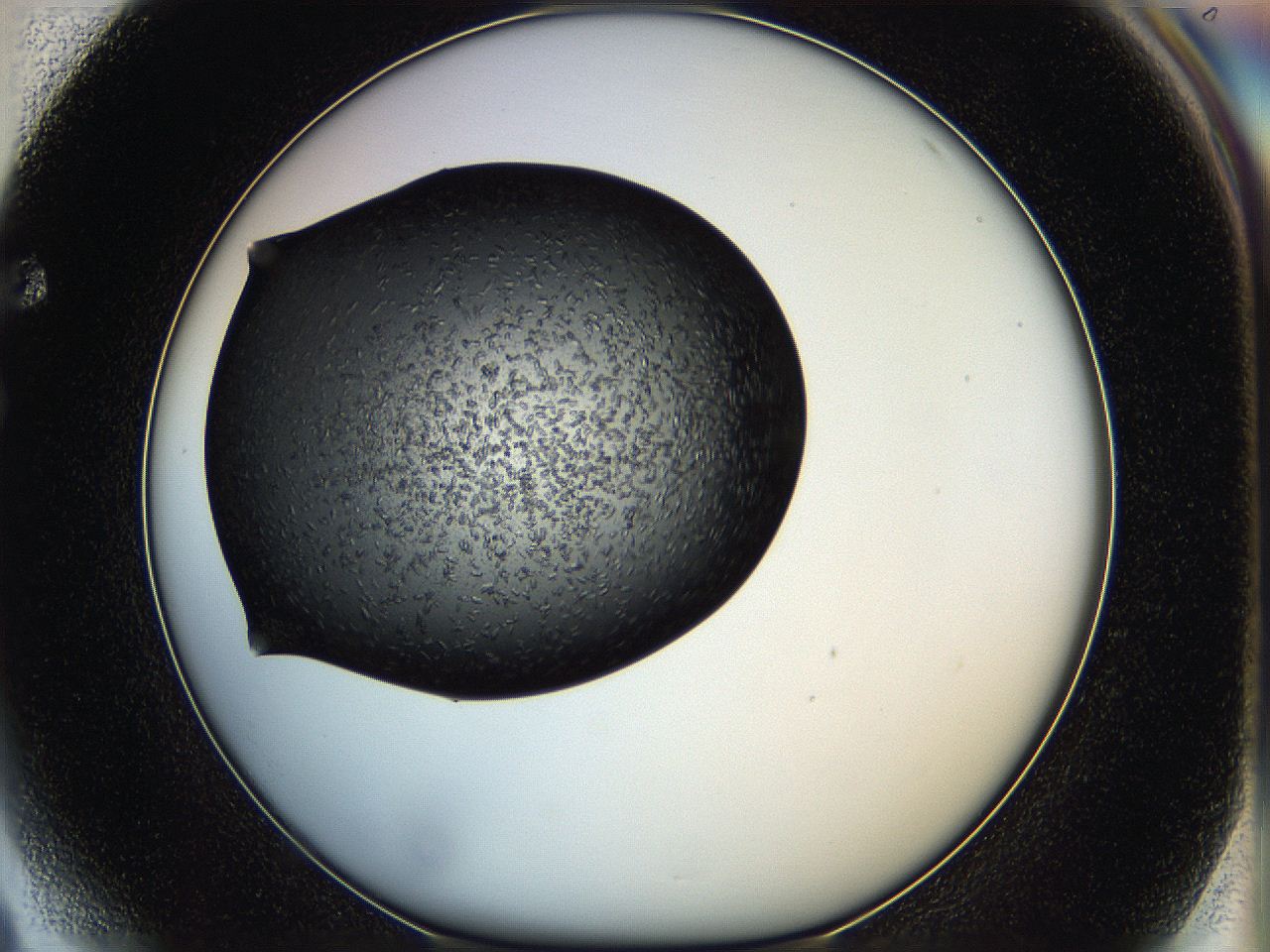05hf_F4_ImagerDefaults_6.jpg