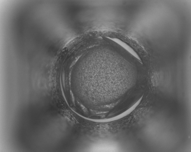 X0000048420968200504061050.png
