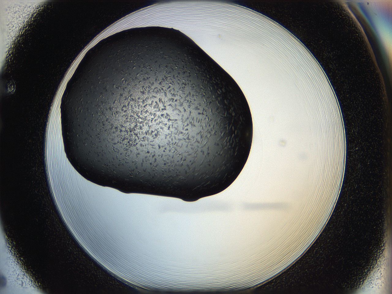 05hf_F5_ImagerDefaults_6.jpg