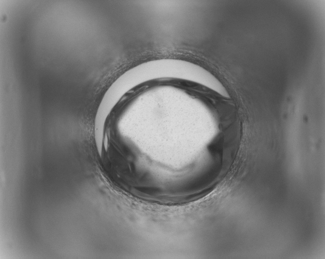 X0000052890048200507272240.png