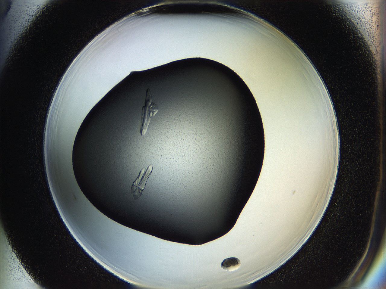 05hf_F5_ImagerDefaults_7.jpg
