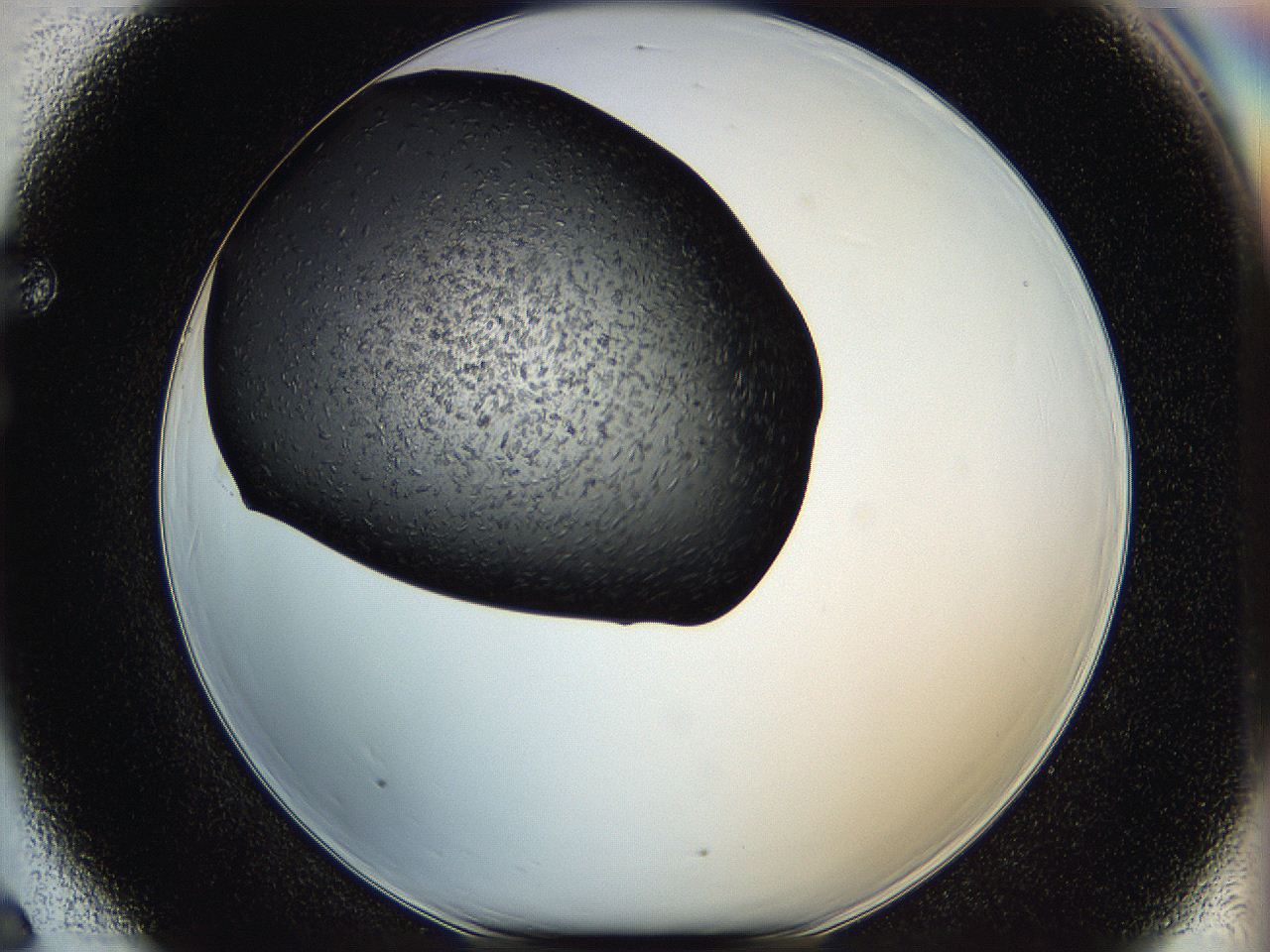 05hf_F6_ImagerDefaults_6.jpg